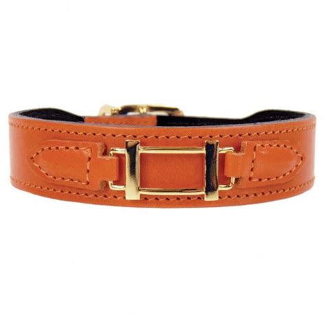 hermes paris hund|hermes collars for dogs.